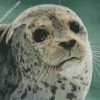 Seal diamond painting