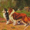 Shelties diamond painting