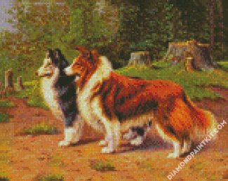 Shelties diamond painting