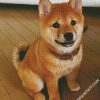 Shiba Inu baby Puppy diamond painting