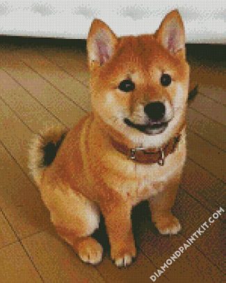 Shiba Inu baby Puppy diamond painting