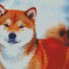 Shiba Inu Puppy diamond painting