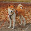 Shiba Inu Puppy Dog diamond painting