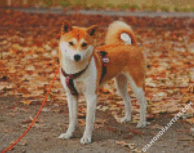 Shiba Inu Puppy Dog diamond painting