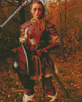 Shieldmaiden diamond painting