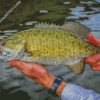 Smallmouth Fish diamond painting