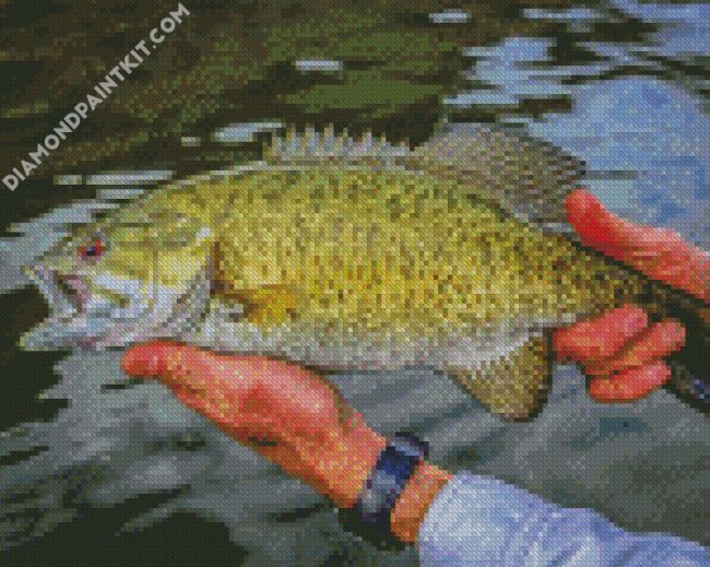 Smallmouth Fish diamond painting