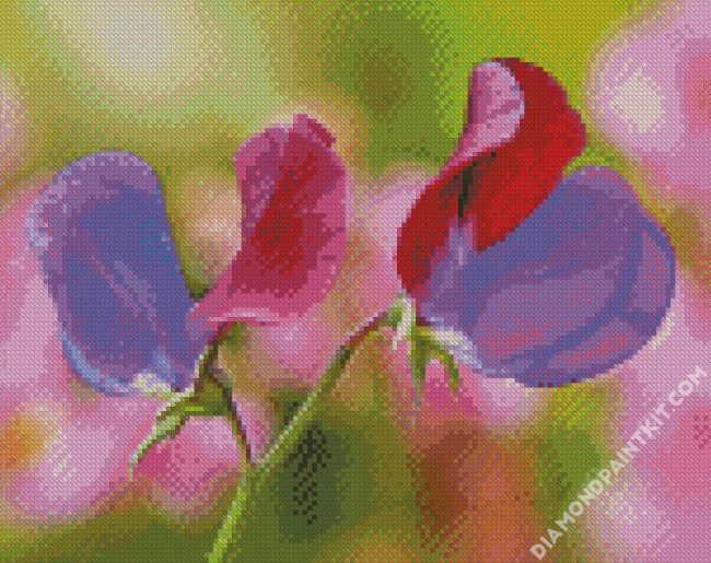 Sweet Pea diamond painting