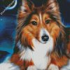 Adorable Sheltie diamond painting