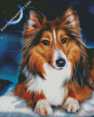 Adorable Sheltie diamond painting