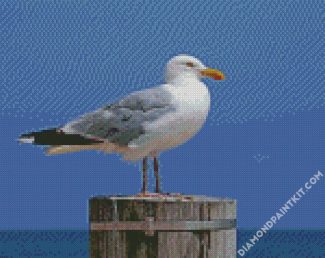 Aesthetic Seagul diamond painting