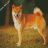 Aesthetic Shiba Inu diamond painting