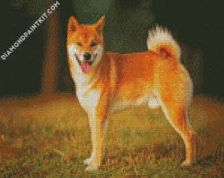 Aesthetic Shiba Inu diamond painting