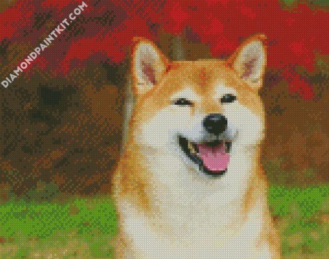 Aesthetic Shiba Inu diamond painting