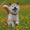 Aesthetic Shiba Inu Puppy diamond painting