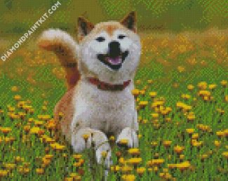 Aesthetic Shiba Inu Puppy diamond painting