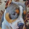 Aesthetic Staffordshire Bull Terrier diamond painting