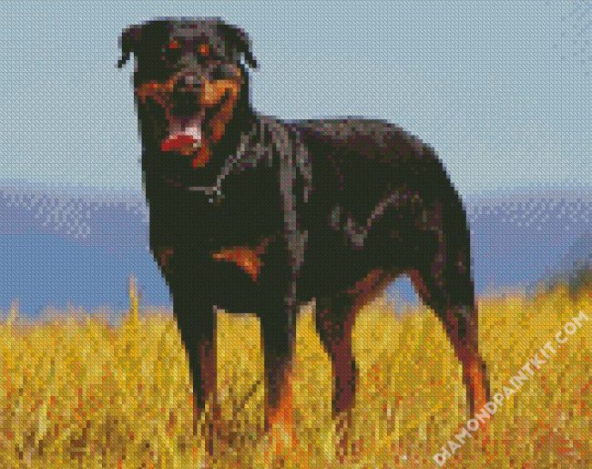 Aesthetic Black Rottweiler diamond painting