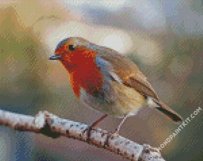 Aesthetic Robin Bird diamond painting