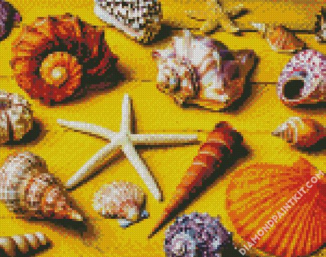 Aesthetic Seashell diamond painting