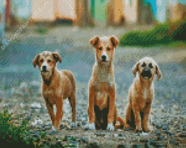 Aesthetic Street Dog diamond painting