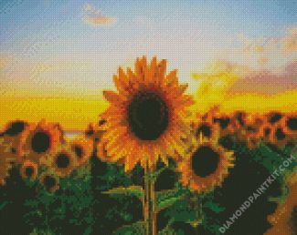 Aesthetic Sunflower diamond painting