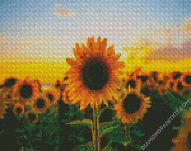 Aesthetic Sunflower diamond painting