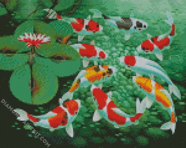 Beautiful Koi Fish diamond painting