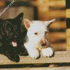 Black And White Scottish Terriers diamond painting