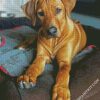 Brown Ridgeback Puppy diamond painting