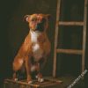 Brown Staffordshire Bull Terrier diamond painting