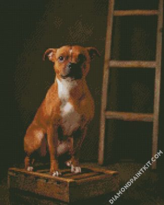 Brown Staffordshire Bull Terrier diamond painting