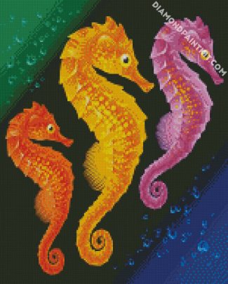 Colorful Seahorses diamond painting