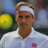 Cool Roger Federer diamond painting