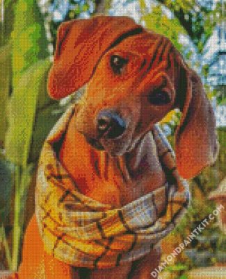 Cute Ridgeback diamond painting