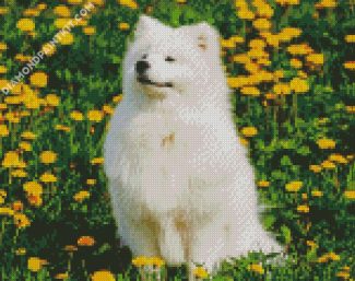 Cute Samoyed diamond painting