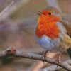 Cute Robin Bird diamond painting