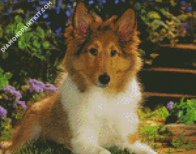 Cute Sheepdog diamond painting