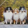 Cute Sheepdogs diamond painting