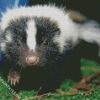 Cute Skunk diamond painting