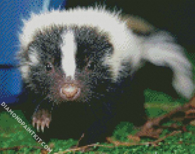 Cute Skunk diamond painting