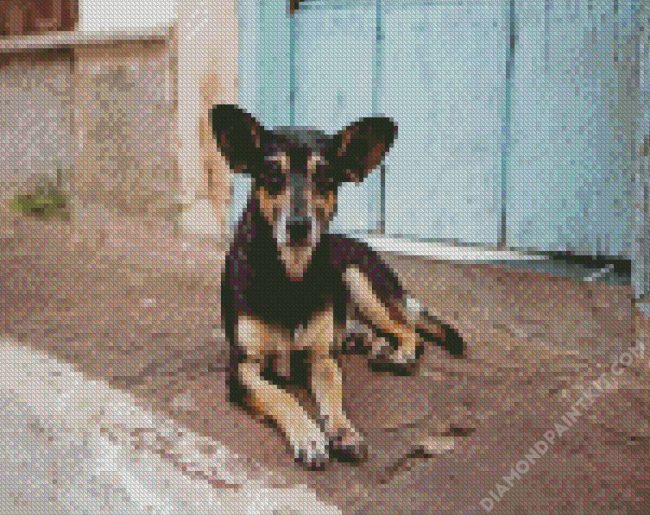 Cute Street Dog diamond painting