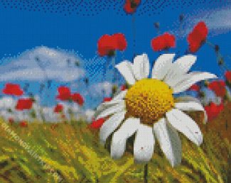 Daisy Flower diamond painting