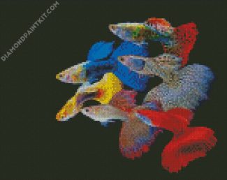 Guppy Rainbow Fish diamond painting