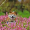 Happy Shiba Inu diamond painting