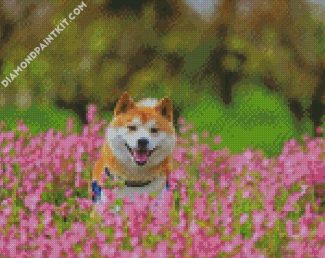 Happy Shiba Inu diamond painting