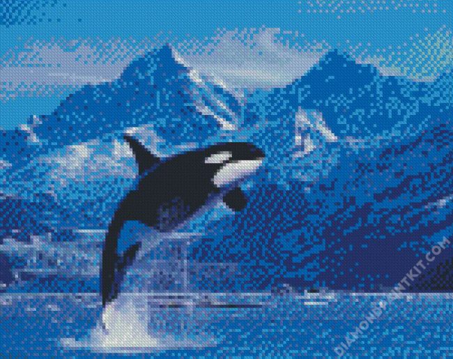 Killer Whale diamond painting