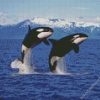 Killer Whales diamond painting