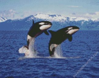 Killer Whales diamond painting