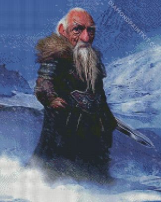 Old Guardian Gnome diamond painting